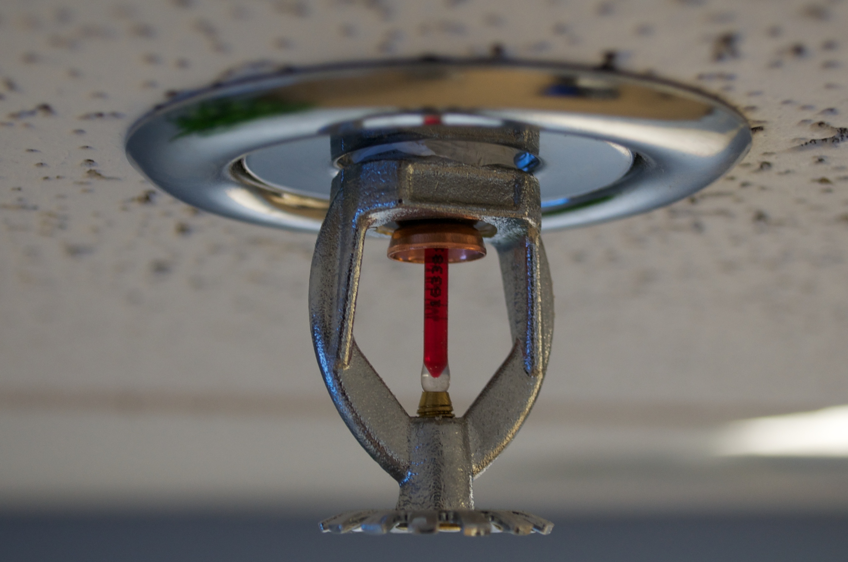 Fire sprinkler head mounted on a ceiling